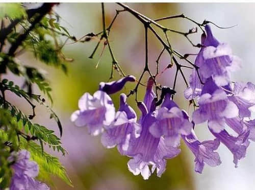 關(guān)于成長(zhǎng)走心的經(jīng)典說(shuō)說(shuō)（53條）