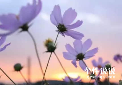 鼓勵自己正能量的經(jīng)典說說(58條) 鼓勵自己正能量的經(jīng)典說說(58條)