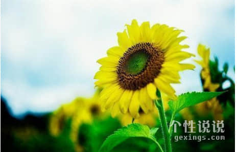 感到現(xiàn)實心酸的經(jīng)典說說(64條) 感到現(xiàn)實心酸的經(jīng)典說說(64條)