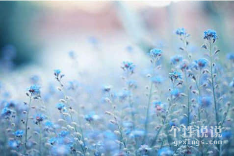 火爆朋友圈句句深入人心的經(jīng)典說說（55句）