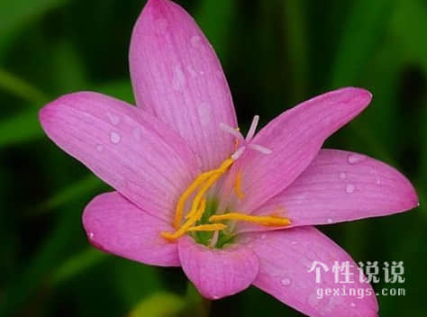 微信致自己正能量的經(jīng)典說說（43條）