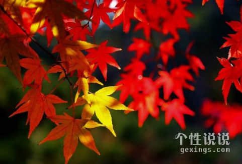 適合發(fā)朋友圈說(shuō)早安的經(jīng)典說(shuō)說(shuō)（44條）