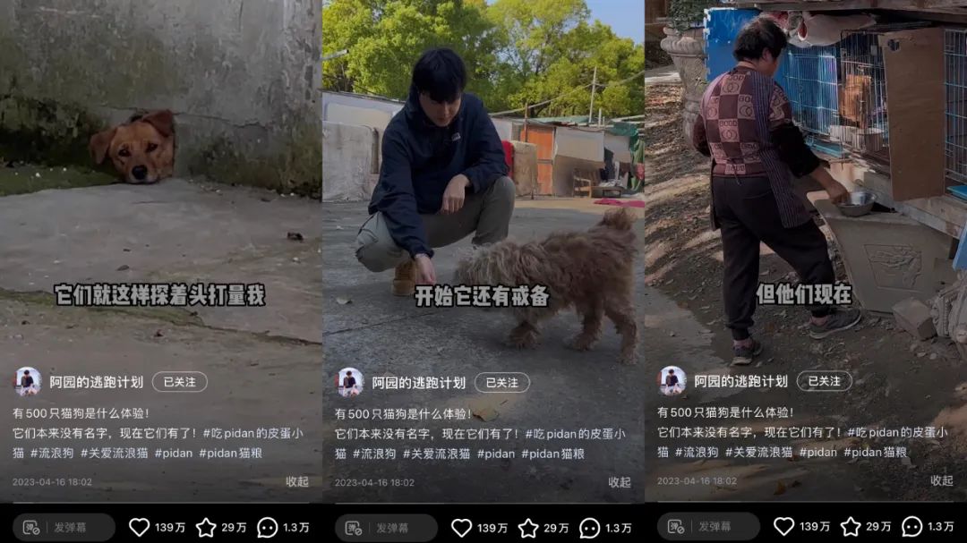 兩條廣告點(diǎn)贊破100萬，他是2023年的爆款制造機(jī)