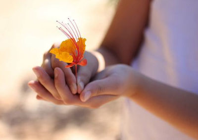 秋風(fēng)颯颯，是誰遺忘了幸福的方向