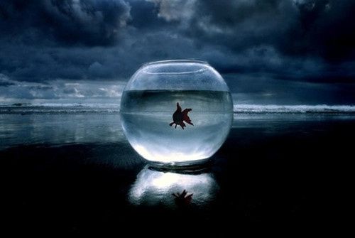 心累說說 生活從未變得輕松，是你在一點(diǎn)一點(diǎn)變得堅(jiān)強(qiáng)