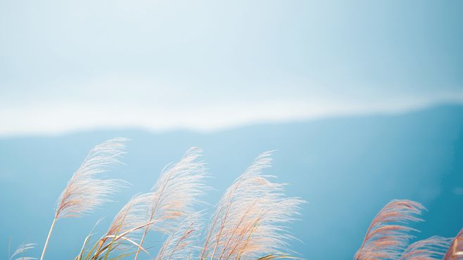 說說心情短語 能錯過是福氣，遇見也是