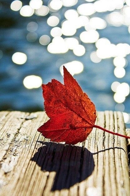 迎接新年的經(jīng)典說說句子