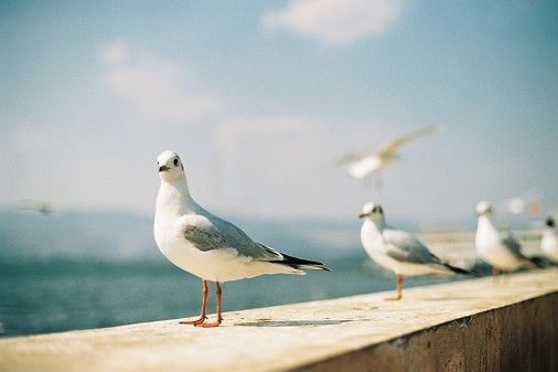 說(shuō)說(shuō)心情短語(yǔ) 給生命一個(gè)微笑的理由