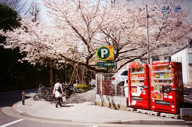 當(dāng)遺忘變成另一種開始，淡了回憶，痛最真實