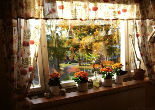 朋友圈經(jīng)典說(shuō)說(shuō) 觸摸不到的幸福，再努力也是徒勞