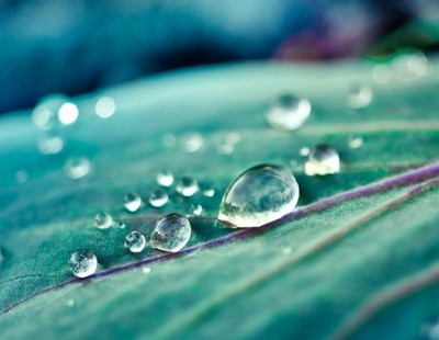 人生的勝者決不會在挫折面前失去勇氣