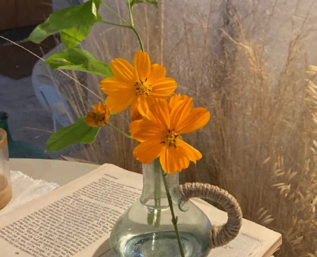 最觸動人心的句子 這個社會沒有對與錯，只有強(qiáng)與弱