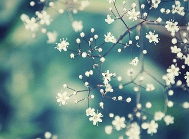 傷感失落的心情表達(dá)句子:我就這么一顆心,你省著點(diǎn)玩