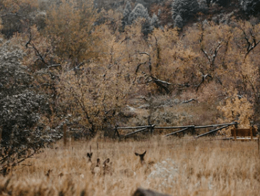 qq傷感說(shuō)說(shuō)大全 心里很不是滋味的句子 qq傷感說(shuō)說(shuō)大全 心里很不是滋味的句子