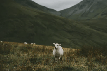 深夜失眠崩潰的傷感說說大全