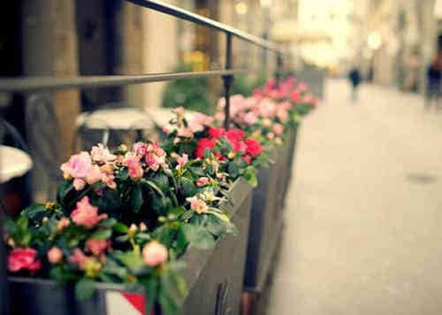 關(guān)于分手傷感的說(shuō)說(shuō)(70條) 關(guān)于分手傷感的說(shuō)說(shuō)(70條)