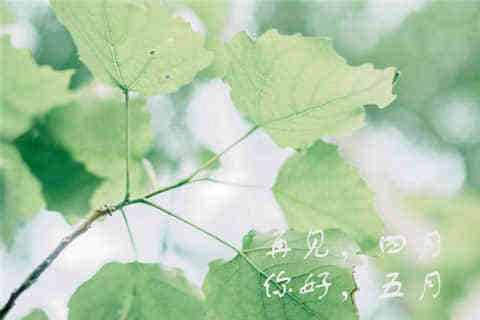 一個人說說看完哭了那種(74條)	 一個人說說看完哭了那種(74條)