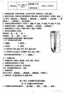 初1基礎(chǔ)知識(shí)點(diǎn)