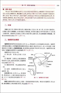 職業(yè)測(cè)試人體解剖學(xué)基礎(chǔ)知識(shí)