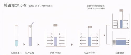 考試題,水質(zhì),上崗,基礎(chǔ)知識(shí)