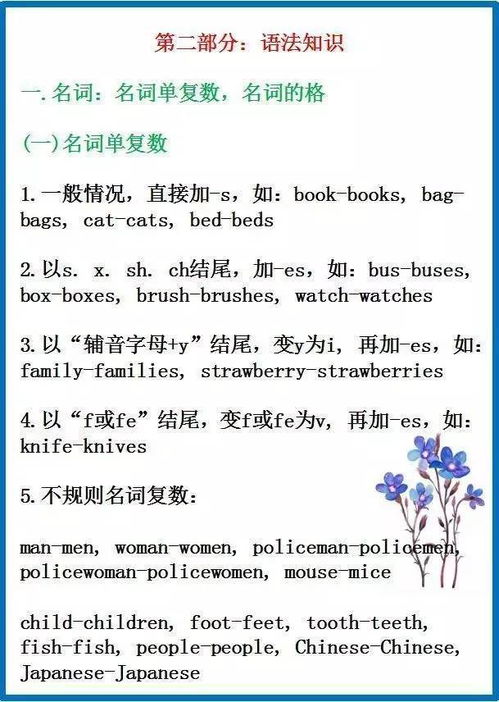 小學英語以知識運用的基礎(chǔ)知識
