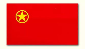 中學(xué)共青團基礎(chǔ)知識測試題