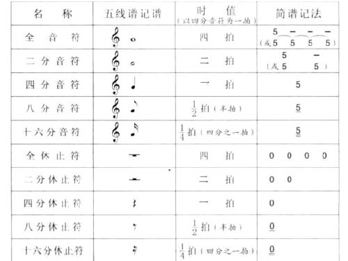 13級音樂基礎(chǔ)知識