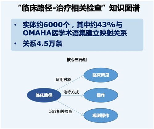 臨床路徑的基礎(chǔ)知識