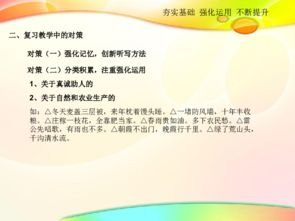 夯實基礎(chǔ)知識提高語文