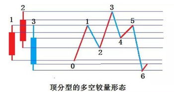 分型的基礎(chǔ)知識
