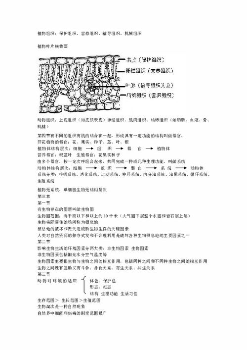 七上生物濟(jì)南版基礎(chǔ)知識(shí)總結(jié)