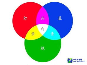 色彩基礎(chǔ)知識題
