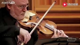 小提琴,基礎(chǔ)知識(shí),教學(xué)