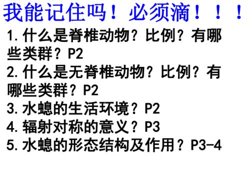 初三語文基礎(chǔ)知識(shí)ppt