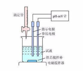 滴定基礎(chǔ)知識