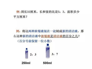 六下比例基礎(chǔ)知識(shí)