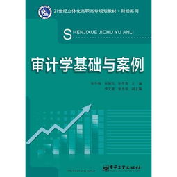 基礎(chǔ)審計(jì)學(xué)基礎(chǔ)知識(shí)