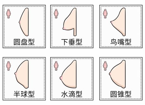 女性生理基礎(chǔ)知識