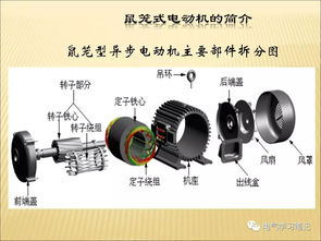 基礎(chǔ)知識,電機,電器