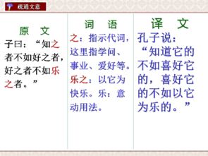 論語(yǔ)選讀基礎(chǔ)知識(shí)題三_(一)閱讀論語(yǔ)中的幾段文字