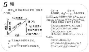 推斷題基礎(chǔ)知識(shí)