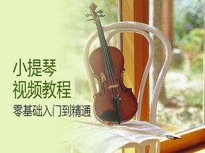 小提琴基礎(chǔ)知識(shí)教學(xué)