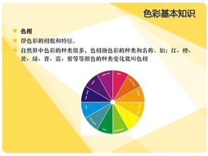 色彩基礎(chǔ)知識(shí)考試題及答案,色彩的基礎(chǔ)知識(shí)教案,美術(shù)色彩基礎(chǔ)知識(shí)