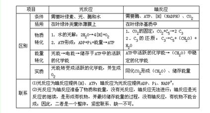 光合作用基礎(chǔ)知識點