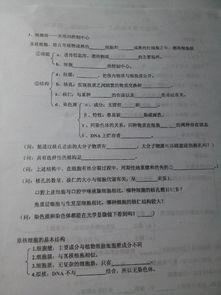 高中生物基礎(chǔ)知識(shí)填空題歸納