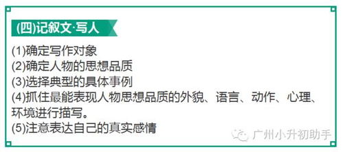 基礎(chǔ)知識,寫作技巧,專業(yè)