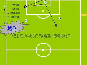 足球教學基礎(chǔ)知識