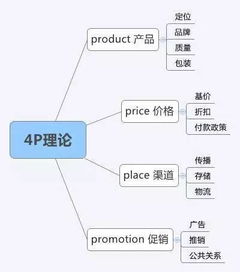 理論知識(shí),市場(chǎng)營(yíng)銷(xiāo),基礎(chǔ)