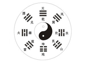 基礎(chǔ)知識,ppt