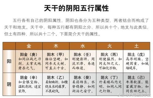 天干地支與五行(八字入門基礎知識)